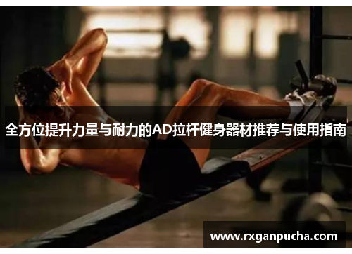 全方位提升力量与耐力的AD拉杆健身器材推荐与使用指南