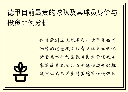 德甲目前最贵的球队及其球员身价与投资比例分析